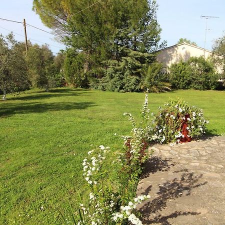 Karoubis Studio Kavallouri Dış mekan fotoğraf